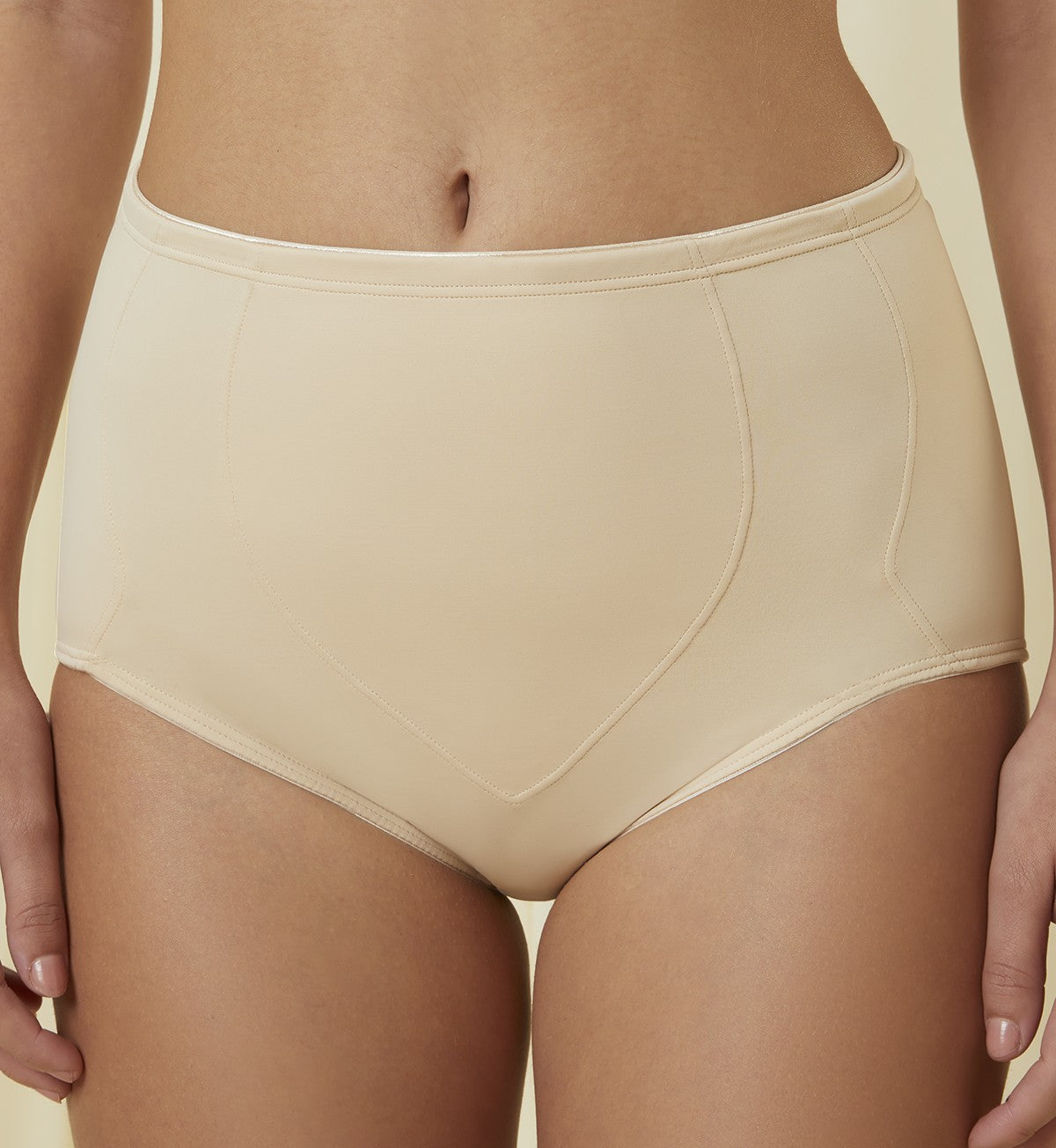 Minimizer Hip panty - Image 4